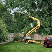 How Our Tree Care Process Works  in  Flanders, NJ