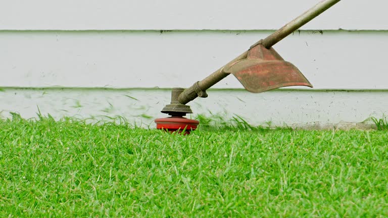 Best Arborist Consultation Services  in Flanders, NJ