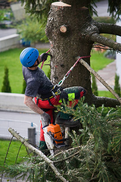 Best Lawn Mowing  in Flanders, NJ