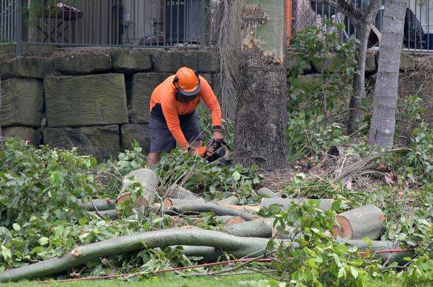 Best Tree and Shrub Care  in Flanders, NJ